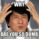 Illustration for article titled Why are some people dumb?